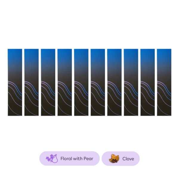 Terea Berrine Edition 10 Packs