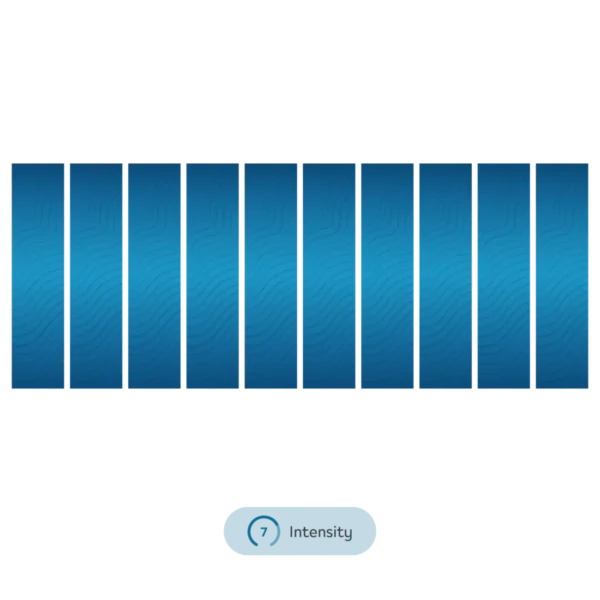 Terea Blue 10 Packs